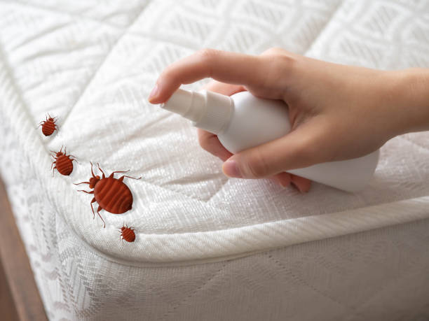 Best Pest Removal Services  in Bedford Hills, NY